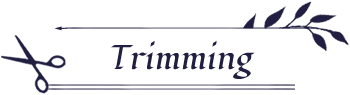 Trimming